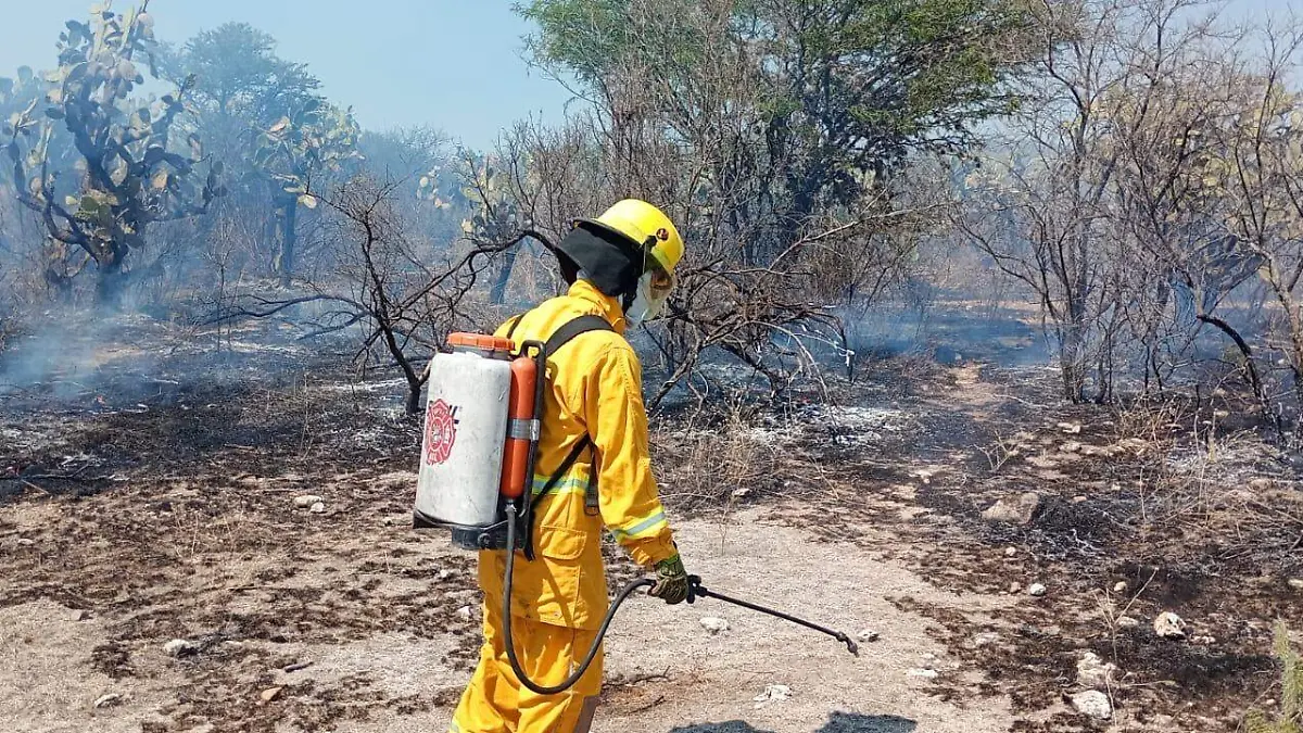 Infierno en la “Presa del Muerto”: Bomberos sofocan incendio de mil hectáreas en Aguascalientes
